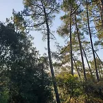 Corniche Et Foret By Agence Bru Villa *