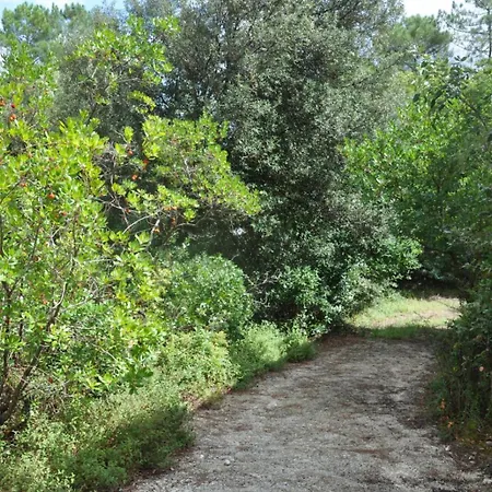 Villa Corniche Et Foret By Agence Bru Le Moutchic