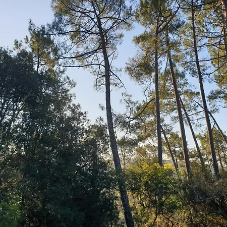 Corniche Et Foret By Agence Bru Villa *